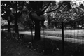 posedenie_po_rozlucke_024