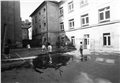 4c_telesna_023