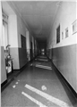 image0007